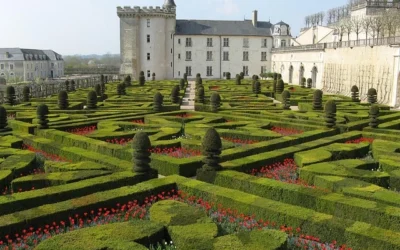 Circuit culturel Vallée de la Loire : Guide ultime pour une expérience authentique